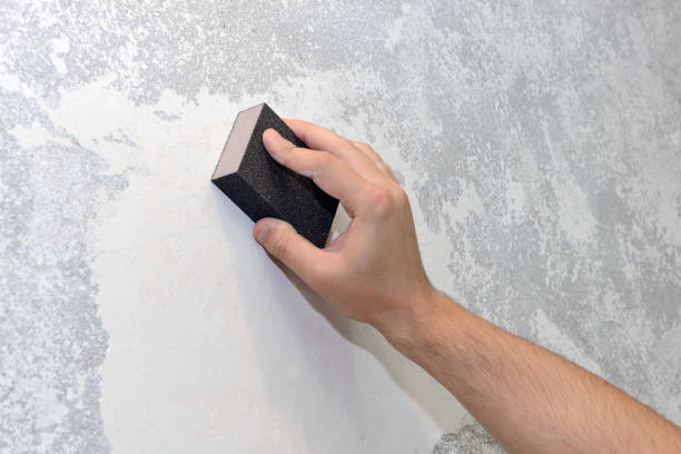 Mold Remediation for Rental Properties in Biltmore, TN