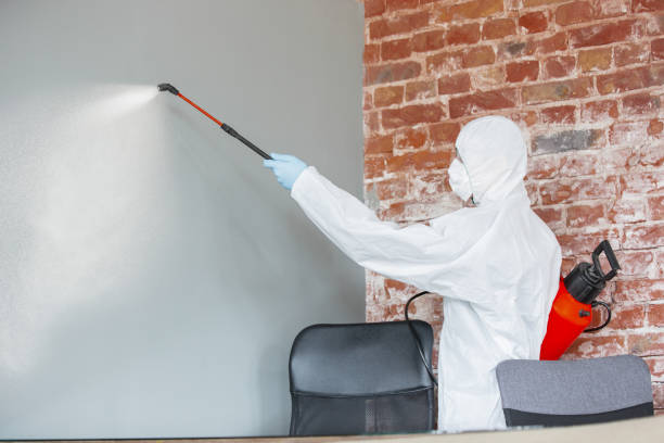 Best Mold Removal for HVAC Installations  in Biltmore, TN