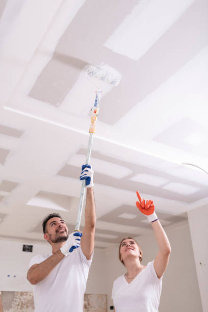 Best Mold Removal for HVAC Installations  in Biltmore, TN
