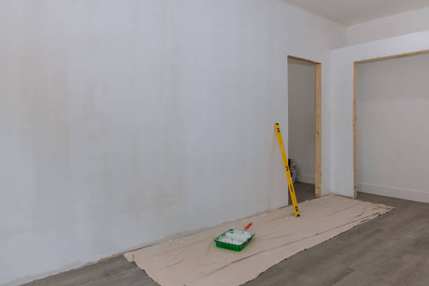 Best Black Mold Removal  in Biltmore, TN