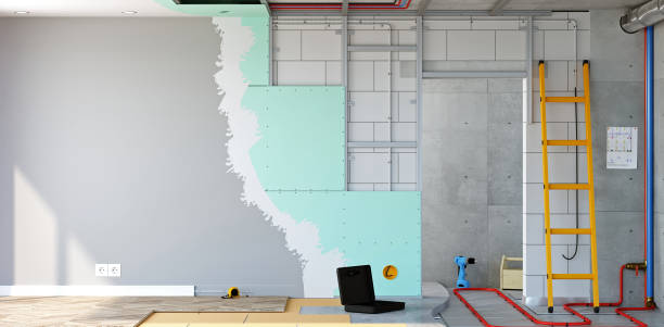 Best Emergency Mold Remediation  in Biltmore, TN