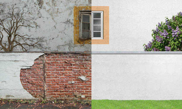 Best Real Estate Mold Inspection  in Biltmore, TN