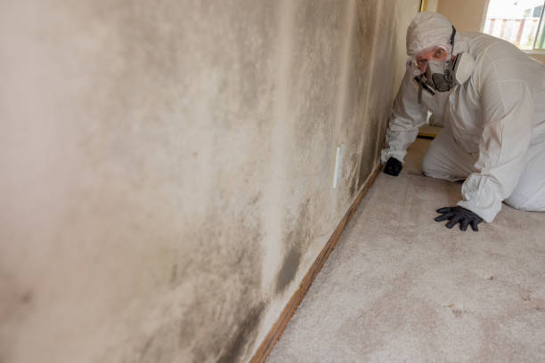 Best Forensic Mold Investigation  in Biltmore, TN
