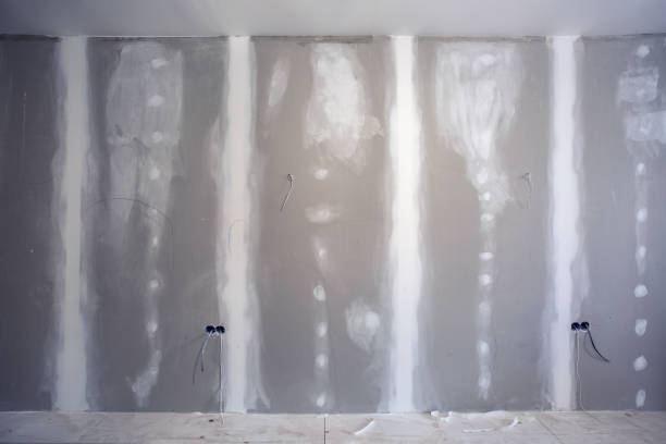 Best Commercial Mold Inspection  in Biltmore, TN